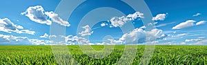 Green Field Under Blue Sky