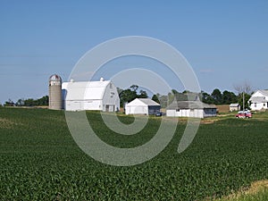 Green field with white barns and wooded area behind