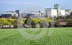 Green field with young sprouts before the panorama of village and the agro-industrial complex