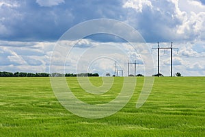 Green field of young wheat, forest, towers of high voltage electrical wires into the distance and the cloudy dramatic