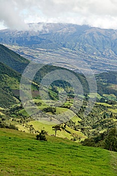 Green fields above a valley