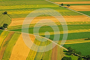 Green fields aerial view before harvest