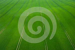 Green Fields. Aerial view of the tractor spraying the chemicals on the large green field. Agricultural spring background