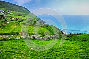 Green fields along Slea Head coastal drive, Dingle Peninsula, County Kerry, Ireland