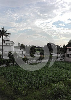 The green fields near houses with trees and cloudclouds on