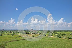 Green fields of Bagan