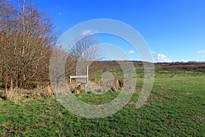 Green fields and bare hedgerows under a clear blue winter sky