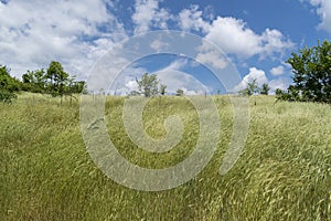 Green fields - Beautiful rural landscape in Bulgaria