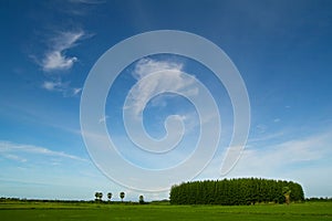 Green fields, beautiful sky