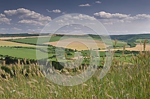 Green fields - Beautiful village landscape