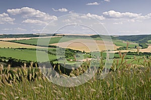 Green fields - Beautiful village landscape