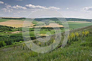 Green fields - Beautiful village landscape