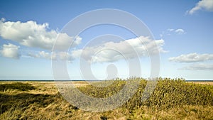 Green fields and blue skies. Green fields and blue sky in spring and early summer.