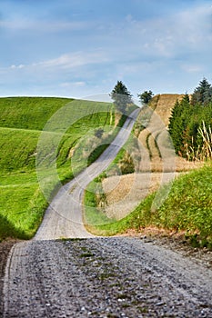 Green fields and blue skies. Green fields and blue sky in spring and early summer.