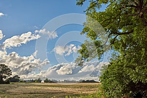 Green fields and blue skies. Green fields and blue sky in spring and early summer.