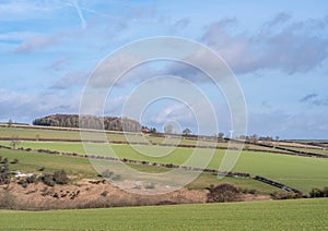 Green fields with hedge rows