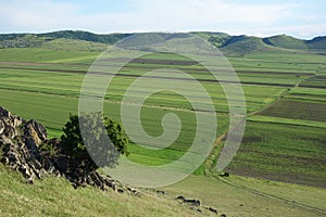 Green fields between hills of dobrogea,romania