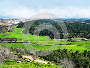 Green fields and hills in the winter of Israel