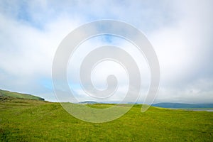 Green fields in Iceland