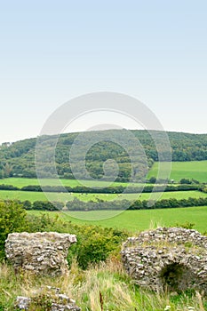 Green Fields of Ireland
