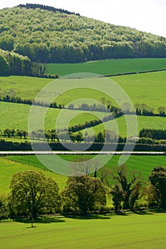 Green Fields of Ireland