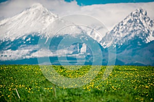 Green fields and meadows in Slovakia under mountains