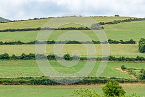 The Green Fields of Moneygall, County Offaly, Ireland photo