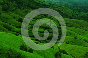 Green fields on a mountain slope