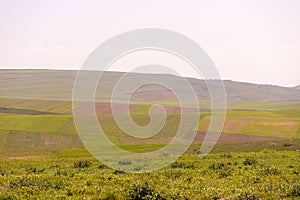 Green fields in the mountains