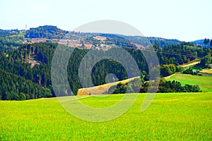 green fields near Jammelshofen in autumn