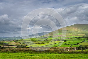 Green fields, pastures, farms and farmlands in Dingle mountains