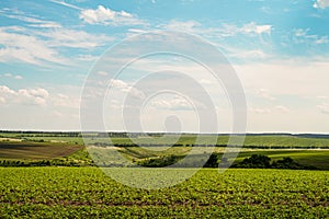 Green fields with ravines to the horizon under a blue cloudy sky