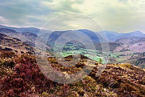 The green fields of Rosthwaite