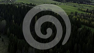 Green fields with summer trees. Clip.Bird 's - eye view of huge forest trees and fields with grass and blue sky .