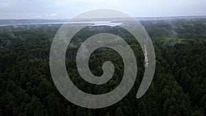 Green fields with summer trees. Clip.Bird 's - eye view of huge forest trees and fields with grass and blue sky .