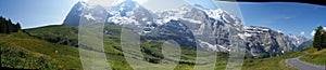 Green fields and swiss alps