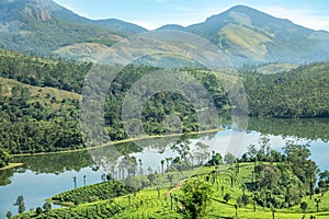 Green fields of tea plantations on the hills landscape and Anayirankal lake, Munnar, Kerala, south India