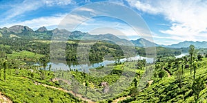 Green fields of tea plantations on the hills landscape and Anayirankal lake, Munnar, Kerala, south India