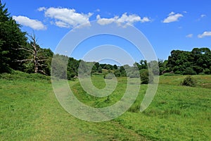 Green fields and trees under a blue sky in the Westerham countryside