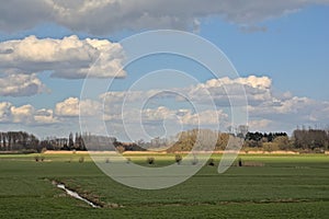 Green fields with willows behind a dam, flooding area of river Scheldt in the flemish countryside