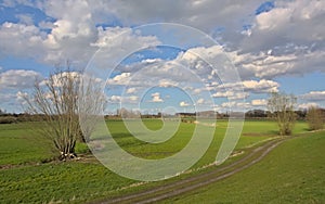 Green fields with willows behind a dam, flooding area of river Scheldt in the flemish countryside