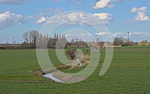 Green fields with willows behind a dam, flooding area of river Scheldt in the flemish countryside
