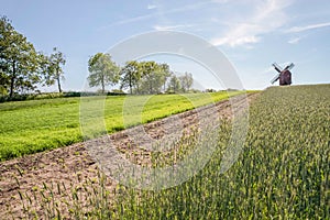 Green fields and windmill