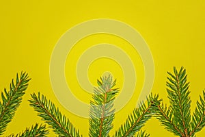 Green fir branch Christmas tree on yellow background. Happy New year and Merry Christmas concept. Copyspace for text
