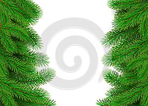 Green fir branches border. Christmas tree twig decoration element for banner and poster. New Year tree branches with bushy needles