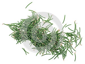 Green fir needles isolated over white background, top view.