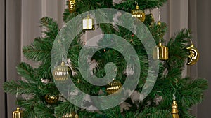 Green fir-tree with golden decoration rotate. Tamplate for greeting card to celebrate Merry Christmas and Happy New Year