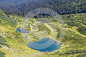 Green fir trees and blue lake against the background of the Carpathian mountains in summer, top view. Ukraine