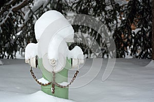 Green Fire Hydrant Covered In Snow