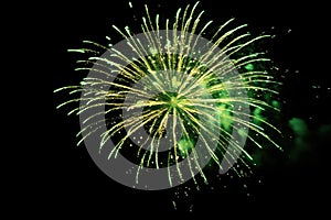 Green firework explosion isolated on white background